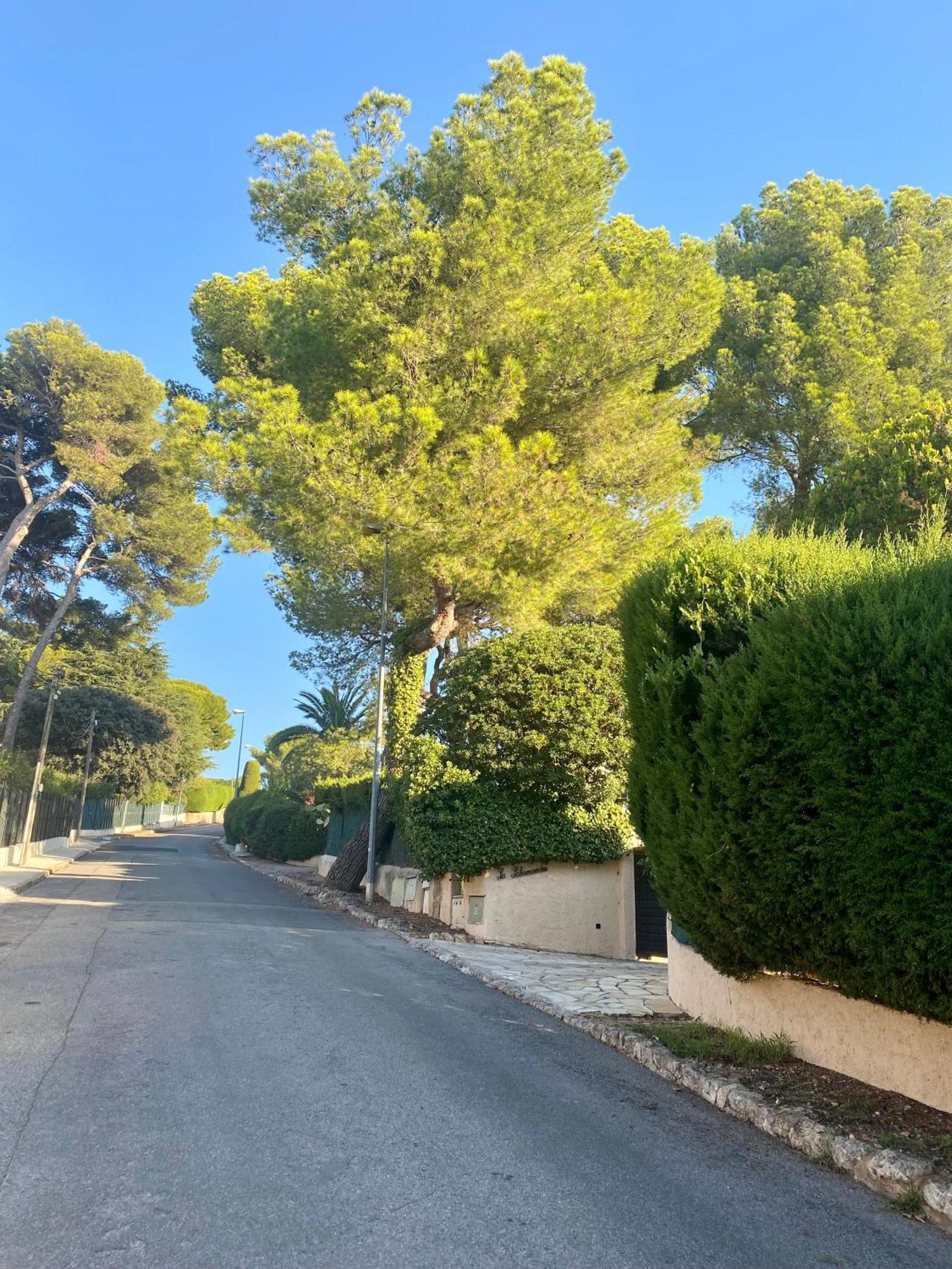Sea View Villa - Antibes - Beach - Pool - Art Deco エクステリア 写真