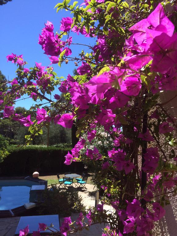 Sea View Villa - Antibes - Beach - Pool - Art Deco エクステリア 写真